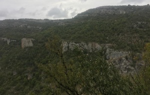 65414099714bb_imagepickerEB3BC69980C74B908327D97F0D15E2132200000000B0F36CC6CA.jpg